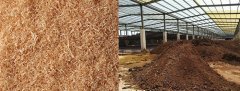 華之強(qiáng)告訴你怎樣用木屑發(fā)酵成為生物有機(jī)肥